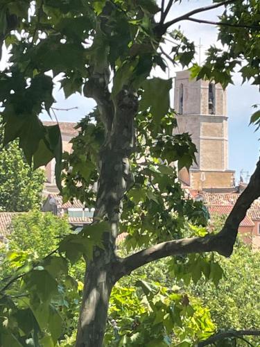 a tree in front of a building with a tower at Carnets de voyage Coté studios in Lorgues