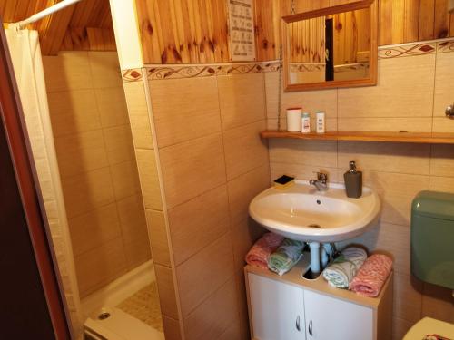 a small bathroom with a sink and a shower at Apartmani San in Plitvička Jezera