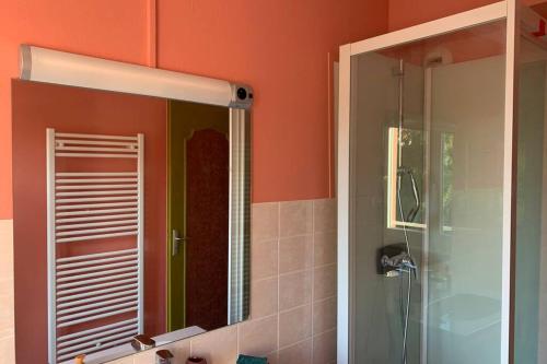 uma casa de banho com um espelho e um chuveiro em LE FIFTIES em Verdun-sur-Meuse