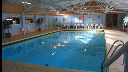 a large swimming pool in a building at Gower Cottage in Reynoldston