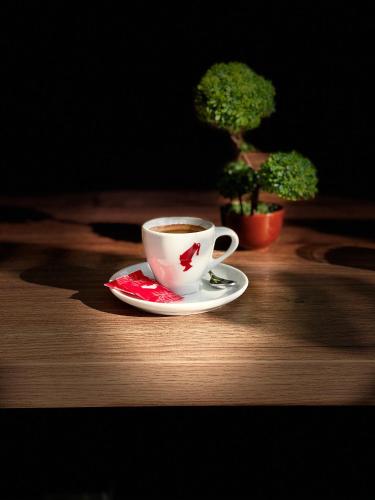 Binta HOSTELにあるコーヒーまたはお茶
