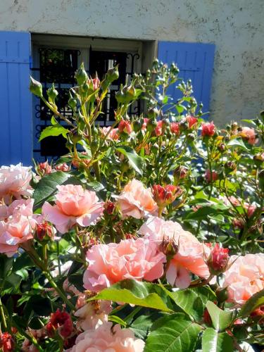 a bunch of pink flowers in front of a door at Les Deux Tilleuls in Sablet