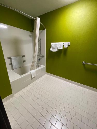 een groene badkamer met een bad en een douche bij Relax Inn McRae in McRae