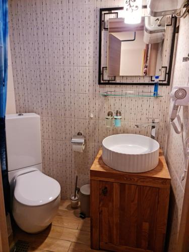 a bathroom with a sink and a toilet and a mirror at Alfa Relax Apartments in Saturn