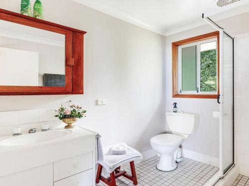 a bathroom with a toilet and a sink and a mirror at Captain's Lookout in Bellawongarah