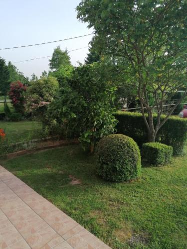 Κήπος έξω από το Apartman Ris Gorski Kotar Crni Lug