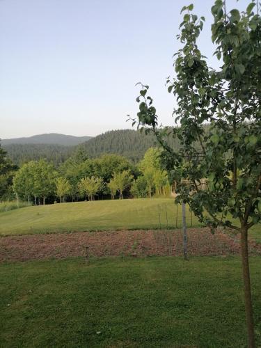 Φυσικό τοπίο κοντά σε αυτό το διαμέρισμα