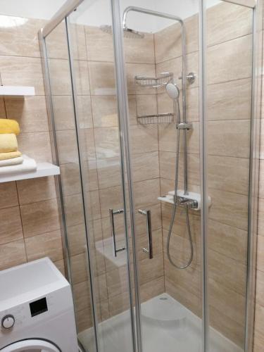 a shower with a glass door in a bathroom at Kuća Rose in Ledenice