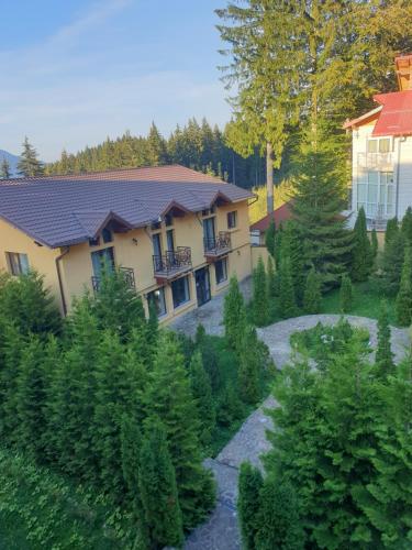 a house with a lot of trees in front of it at Hotel MEITNER in Predeal