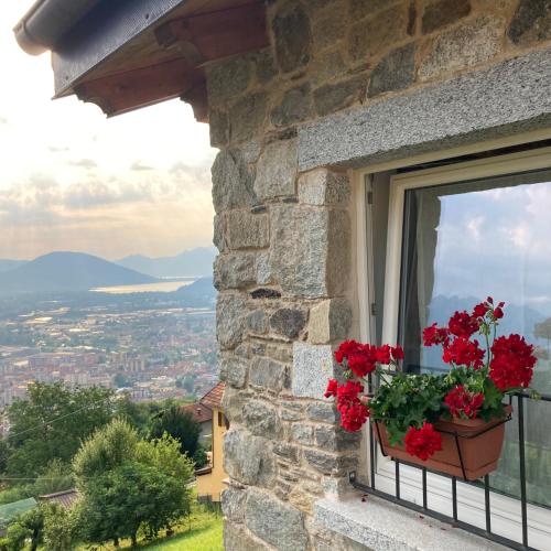 a window with red flowers in a pot on it at Il riccio di Ricciano in Casale Corte Cerro