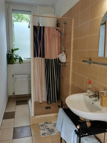 a bathroom with a shower and a sink at 1st Floor Apartman in Szombathely