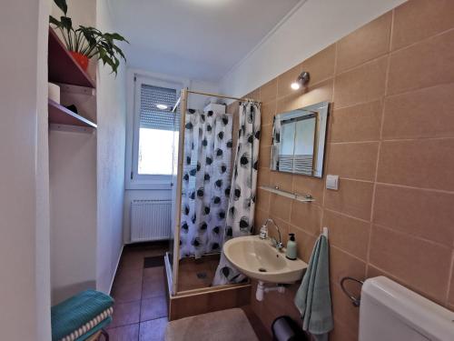 ein Bad mit einem Waschbecken und einer Dusche in der Unterkunft Acceptus Domus in Szombathely