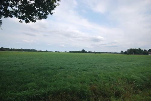 un gran campo de hierba verde con un cielo nublado en Ferienhof Wiesenblick 35519, en Uplengen