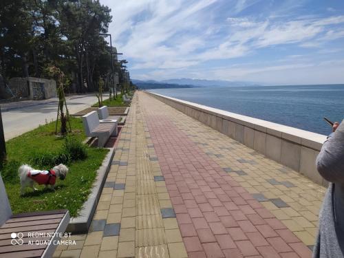 a person taking a picture of a walkway next to the water at Seaside Apartment in K'obulet'i
