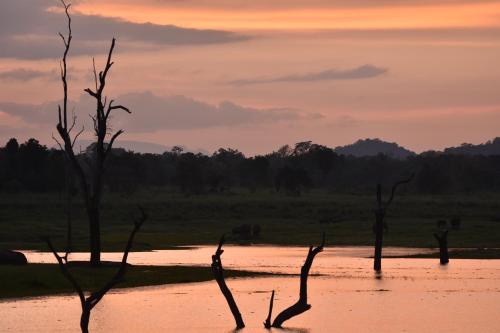 Explorer by Eco Team - Dambana – Photos 3