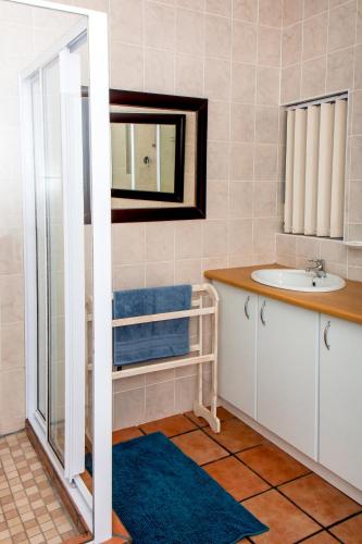 a bathroom with a sink and a mirror at Columba 33 in Suiderkruis