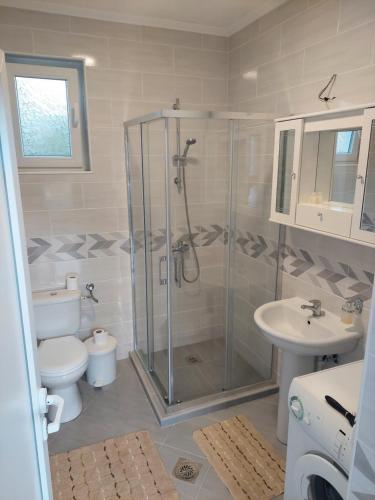 a bathroom with a shower and a toilet and a sink at Sara Apartments Plav in Plav