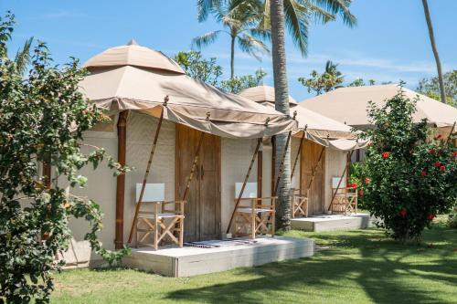 grupa namiotów w ogrodzie z palmami w obiekcie Bali Beach Glamping w mieście Tabanan