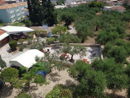 Gallery image of Seaview Apartments Tsilivi in Tsilivi