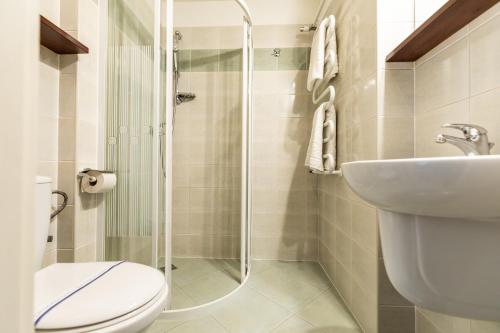 a bathroom with a shower and a toilet and a sink at Willa Halinówka in Krynica Zdrój