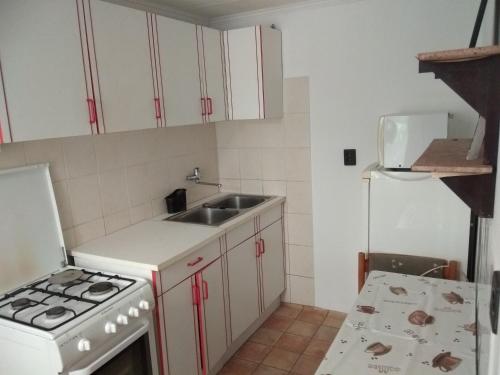 cocina con fregadero y fogones horno superior en Amira apartman Balatonlelle, en Balatonlelle