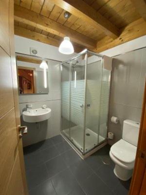 a bathroom with a glass shower and a toilet at Apartamentos Los Molinos in Llanes