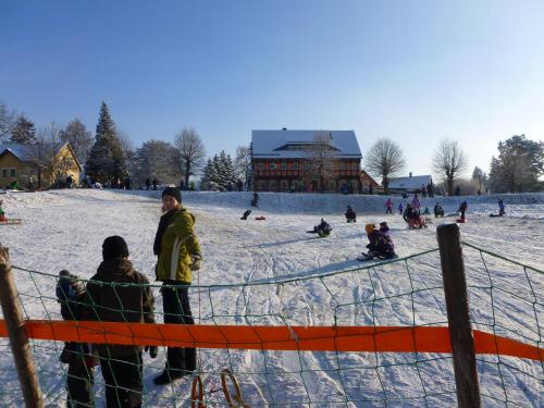 a group of people standing behind a fence in the snow at Ferienhaus Peggy in Kurort Oybin