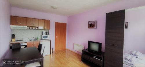 ein Wohnzimmer mit Küche und einem Tisch mit Fernseher in der Unterkunft Predela 1 - Studio 10 near Bansko Ski Lift in Bansko