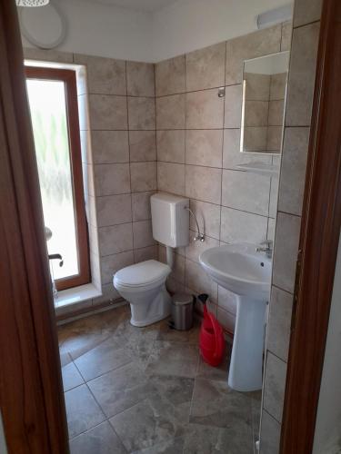 a bathroom with a toilet and a sink at Casa Zoe Seaca in Călimăneşti