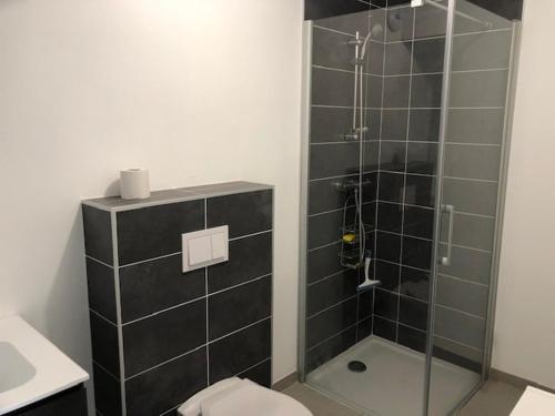 La salle de bains est pourvue d'une douche avec une porte en verre. dans l'établissement LE BEL AIR, à Pugny-Chatenod