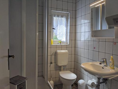 a bathroom with a toilet and a sink and a window at Ferienbungalows am Jabelschen See in Jabel