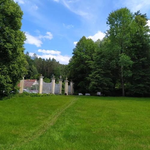 a yard with a fence and green grass and trees at apartmán Vallon Chéri in Nové Hrady