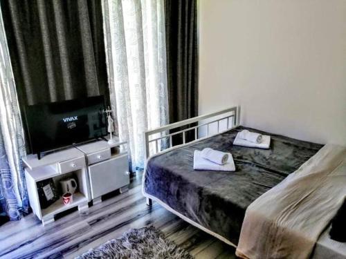 a bedroom with a bed and a flat screen tv at Milosev Konak in Aleksandrovac