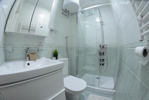 a white bathroom with a toilet and a shower at Apartment DobraYa Blue in Novi Sad