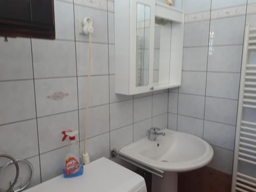 Koupelna v ubytování Apartman Emilio