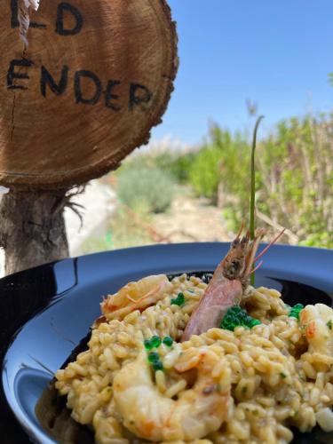 a plate of food with shrimp and rice at Eco Beach And Magic Garden Hotel in Gennadi