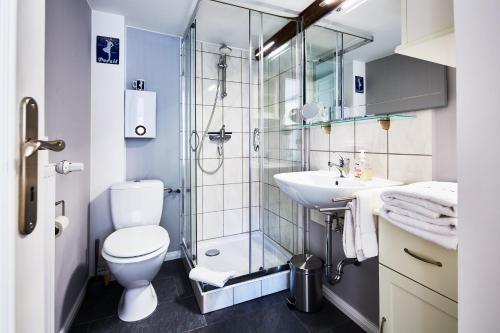 een badkamer met een douche, een toilet en een wastafel bij fewo1846 - Hafen-Butze - komfortable Wohnung in historischem Gebäude im Stadtzentrum in Flensburg