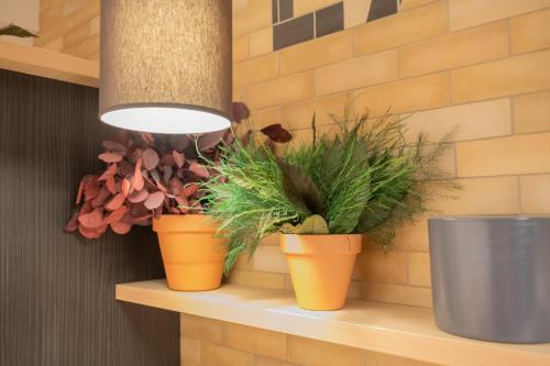 three plants in orange pots sitting on a shelf at CALM Appart' & Hostel in Lille
