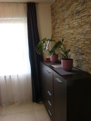 Gallery image of Willa Magnolia in Szczecin