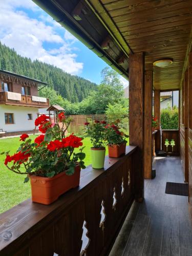 a porch with red flowers in pots on it at Chalet Mugure de Brad in Fundu Moldovei
