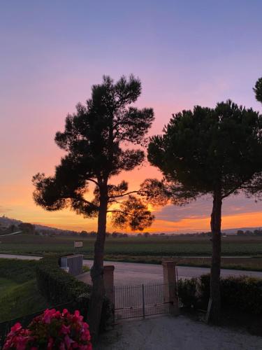 Amanecer o atardecer desde the country house o alrededores