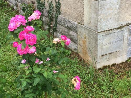 Κήπος έξω από το Le manoir de la Source au bord de l'EuroVélo 6