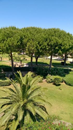 studio la baronnie de la mer