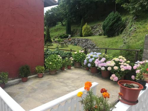 a bunch of flowers in pots on a patio at CASA EL CASTAÑÉU in Arriondas