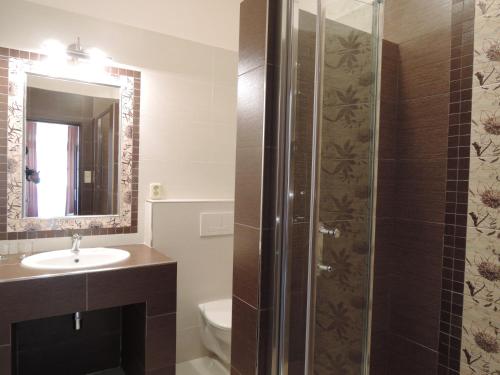 a bathroom with a shower and a sink at Penzion U Císaře Zikmunda in Znojmo
