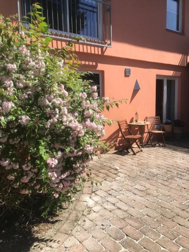 a bush with pink flowers in front of a building at Moderne großzügige Souterrainwohnung Zarrentin Gallin Schaalsee Natur Wald Wasser in Gallin