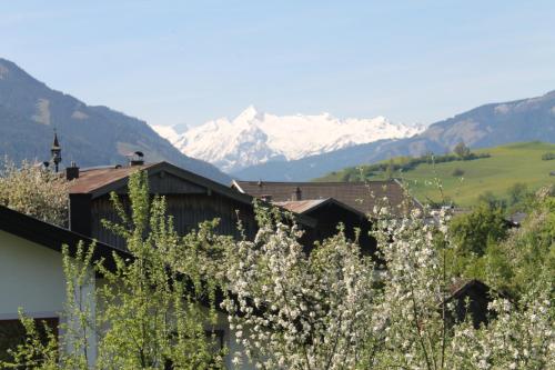 a building with mountains in the background with white flowers at Haus Hartl in Saalfelden am Steinernen Meer