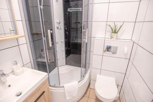 ein Bad mit einer Dusche, einem WC und einem Waschbecken in der Unterkunft Miodowe Apartamenty in Miejsce