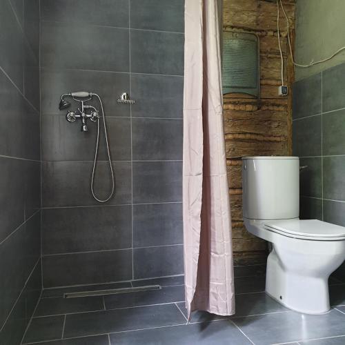 KamesznicaにあるChata góralska Wojtasówkaのトイレとシャワー付きのバスルーム