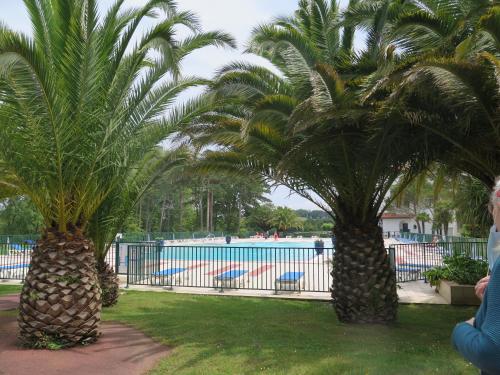 deux palmiers en face d'une piscine dans l'établissement Hasparren-121 T2 terrasse et piscine, à Urrugne